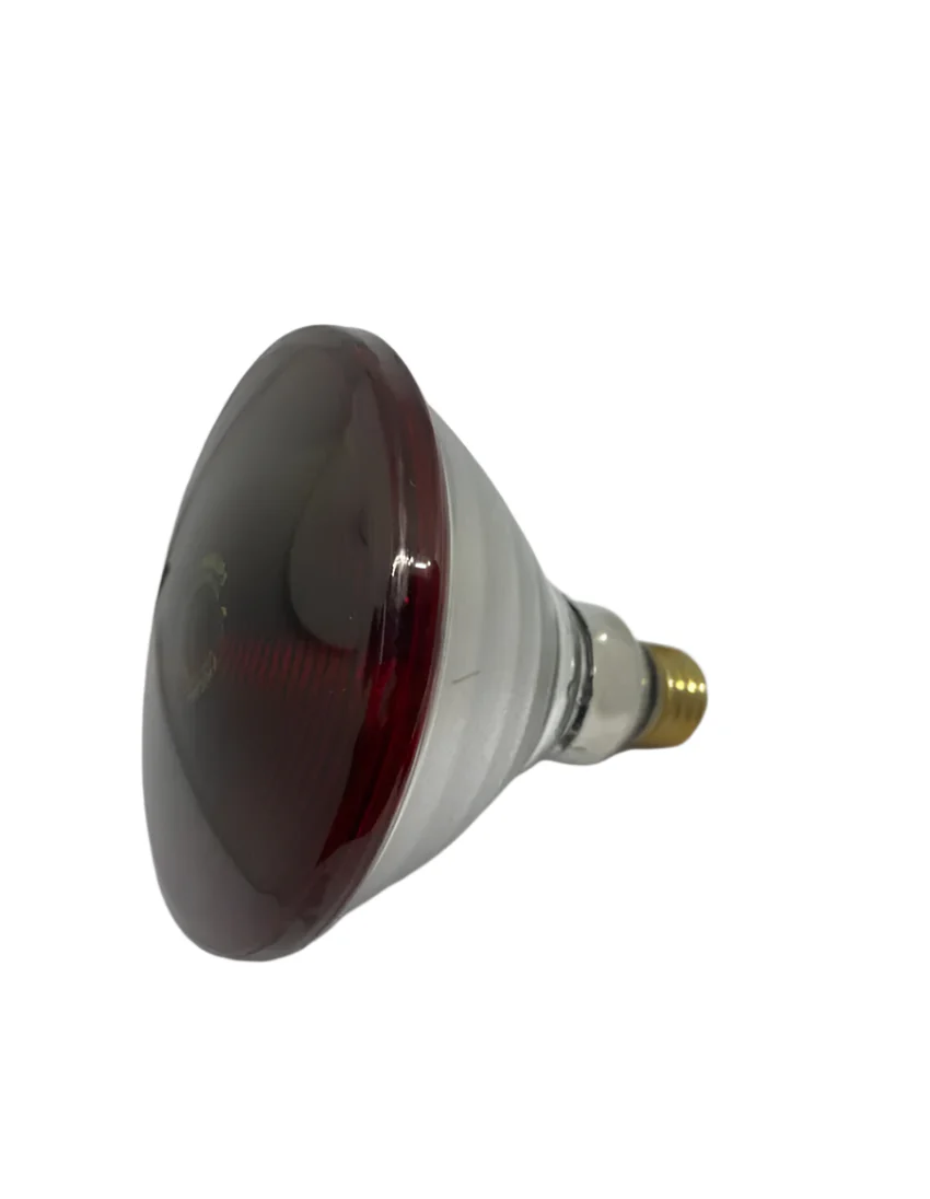 PHILIPS IR150W |Pain-Relief IR Lamp |Infrared Bulb PAR38 150W E27 230V Screw Base |Medical IR Heat Lamp for Infraphil 3616/01 - Image 2