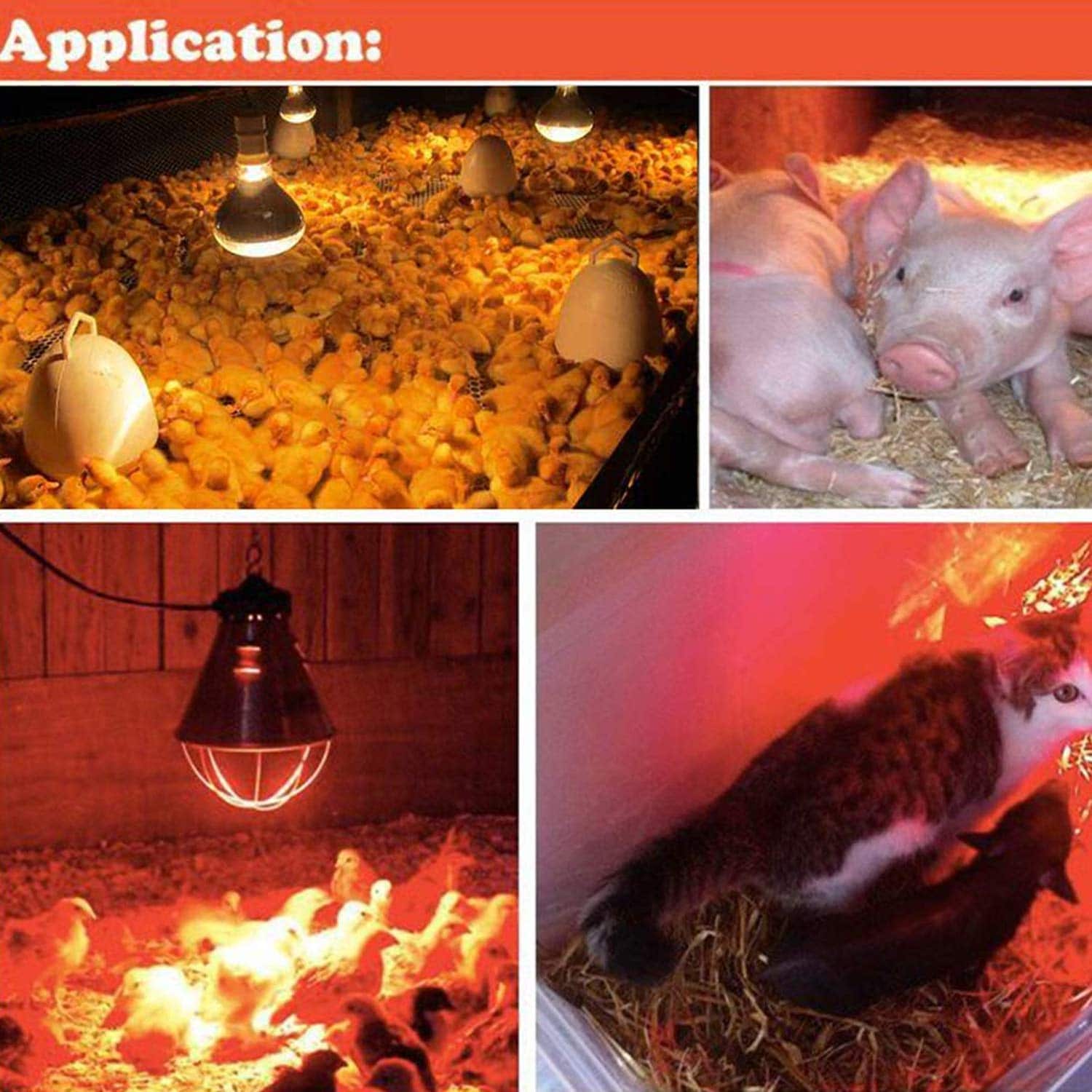 Philips 375w Heating Bulb | 2700K-3000K Warm White | IRR 375W E27 Infrared Heating Lamp Bulb - Image 3