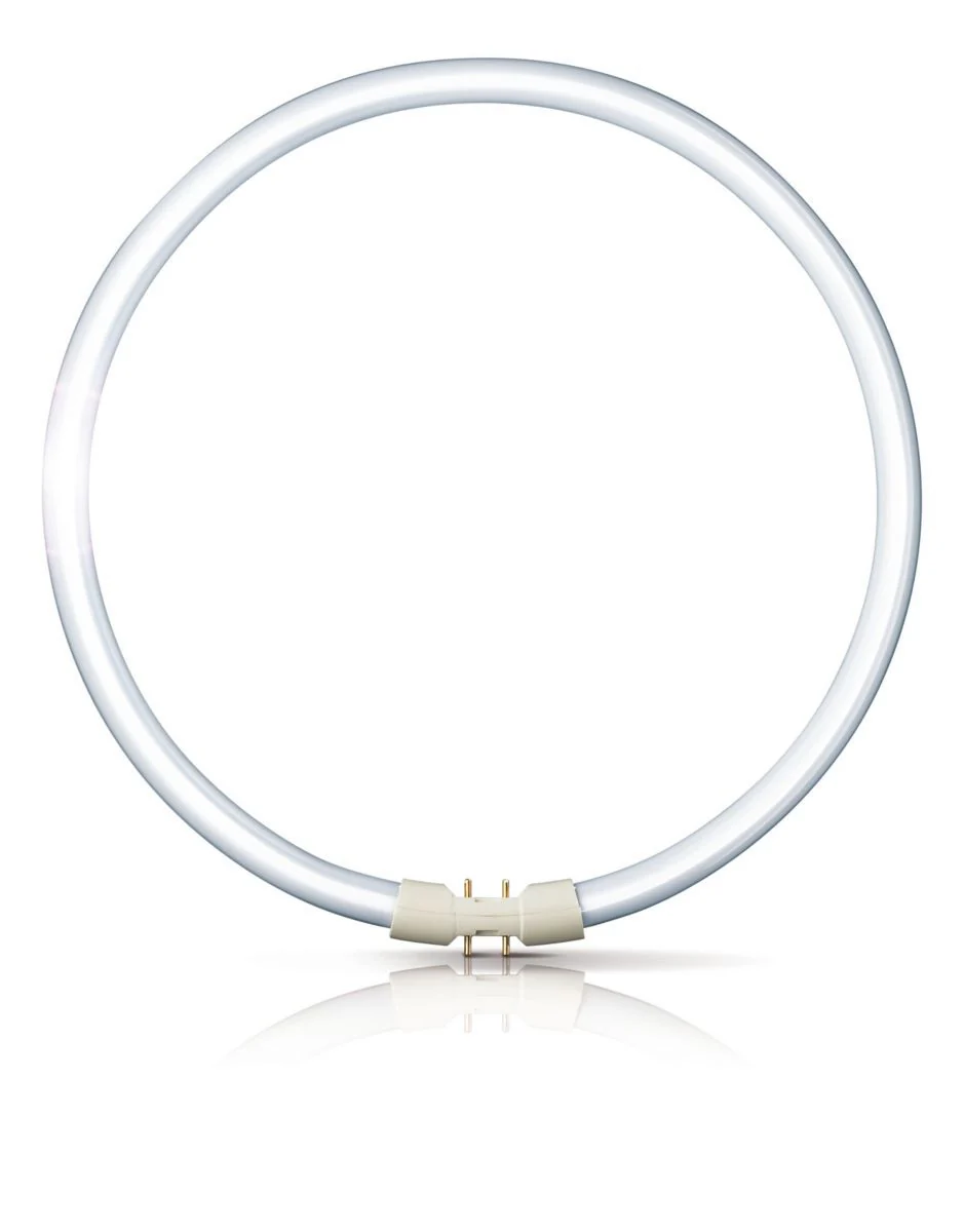 LED Bulbs